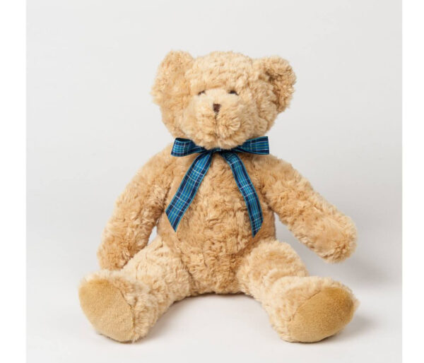 MUMBLES Bracken bear