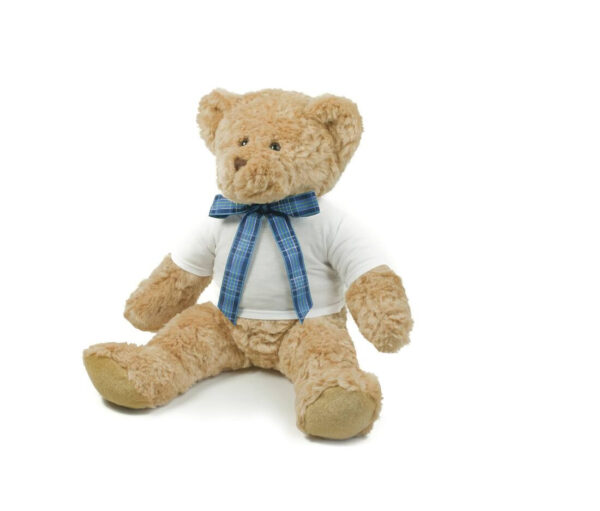 MUMBLES Teddy t-shirt - Image 2